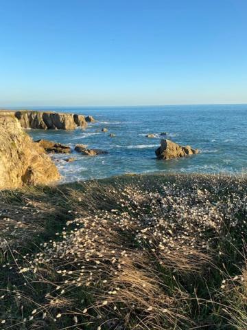 Studio Agreable 300M Cote Sauvage Le Pouliguen Dış mekan fotoğraf